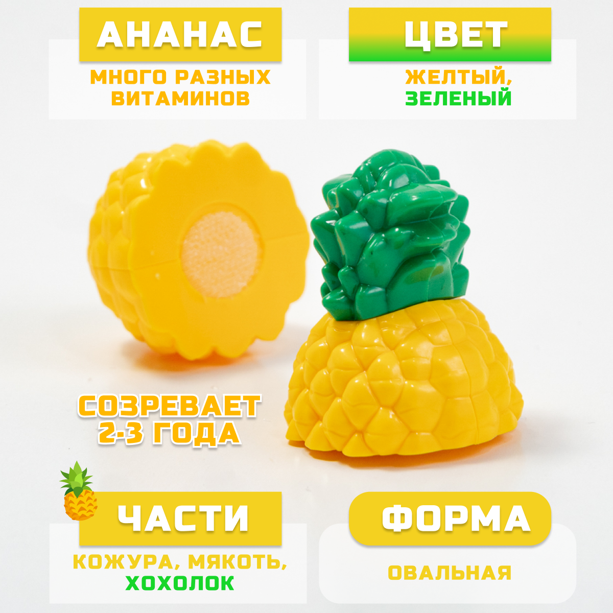 Игрушка TIPTOPOLIS продукты 11 предм. - фото 9