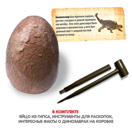 Набор для раскопок Bondibon