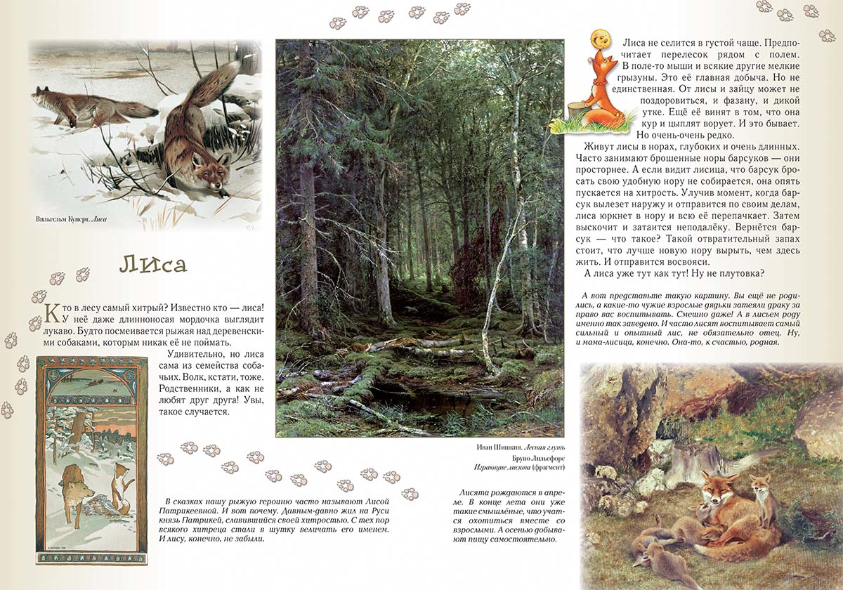 Книга Белый город Прогулки по лесу. - 2-е изд. - фото 4