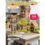 Конструктор Constructa Пакет 250 дет.
