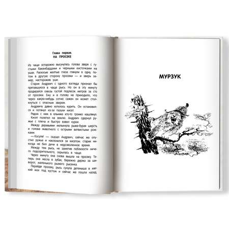 Книга Феникс Повести о животных. Бианки