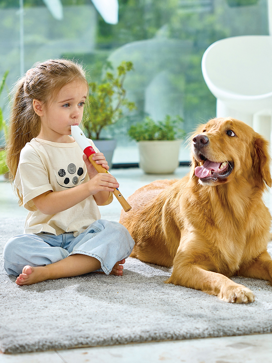 Игрушка музыкальная Hape флейта - фото 1