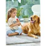 Игрушка музыкальная Hape флейта