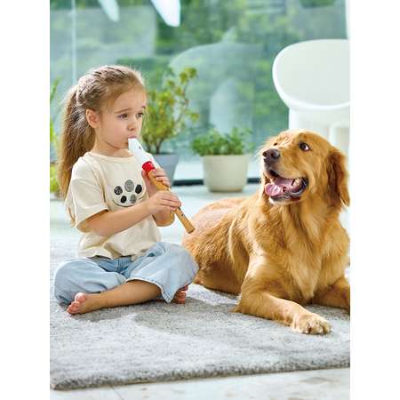 Игрушка музыкальная Hape флейта