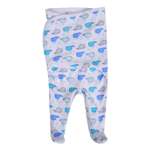 Конверт пеленальный (кокон) Summer Infant Swaddleme Footsie