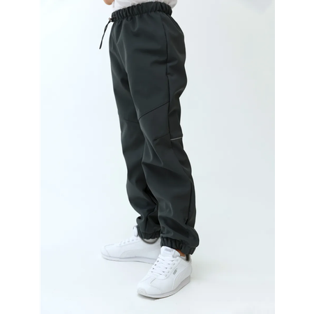 Брюки Lemonwear