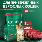 Корм сухой для кошек Cattera полнорационный с говядиной 0,3кг
