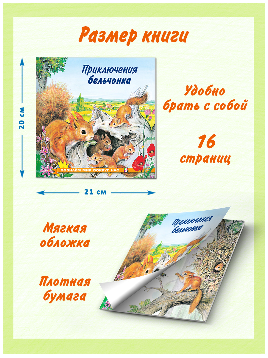 Комплект книг Фламинго Сказки для детей Рассказы о животных Приключения Бельчонка Слоненка Медвежонка Львенка - фото 10