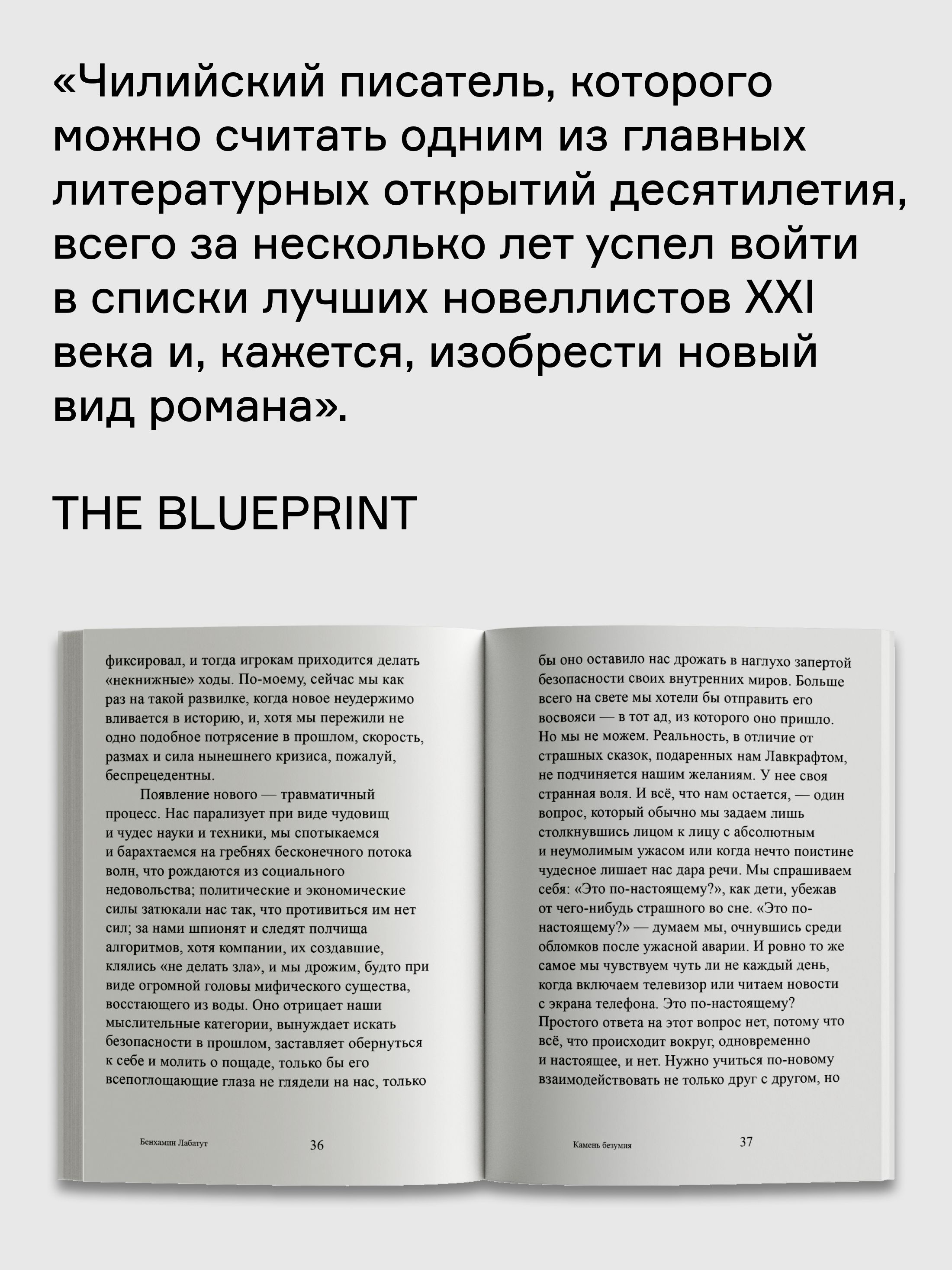 Книга Ad Marginem Камень безумия - фото 5