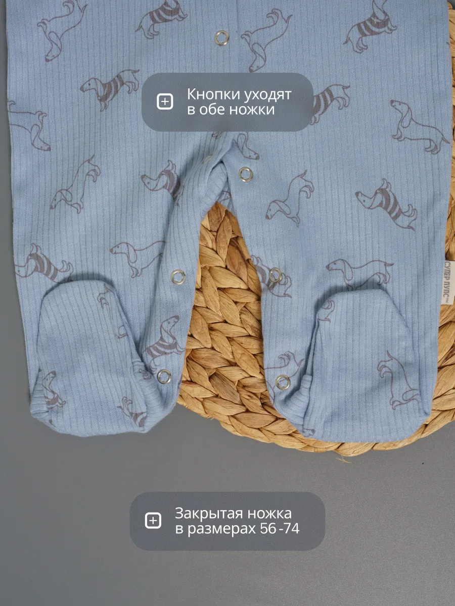 Комбинезон 3 шт Супер Пупс нбр/3пр/ком/сл/sk18/таксы - фото 18