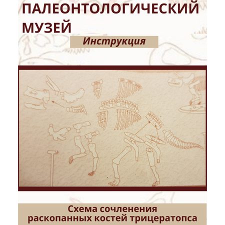 Пазл EstaBella 3D