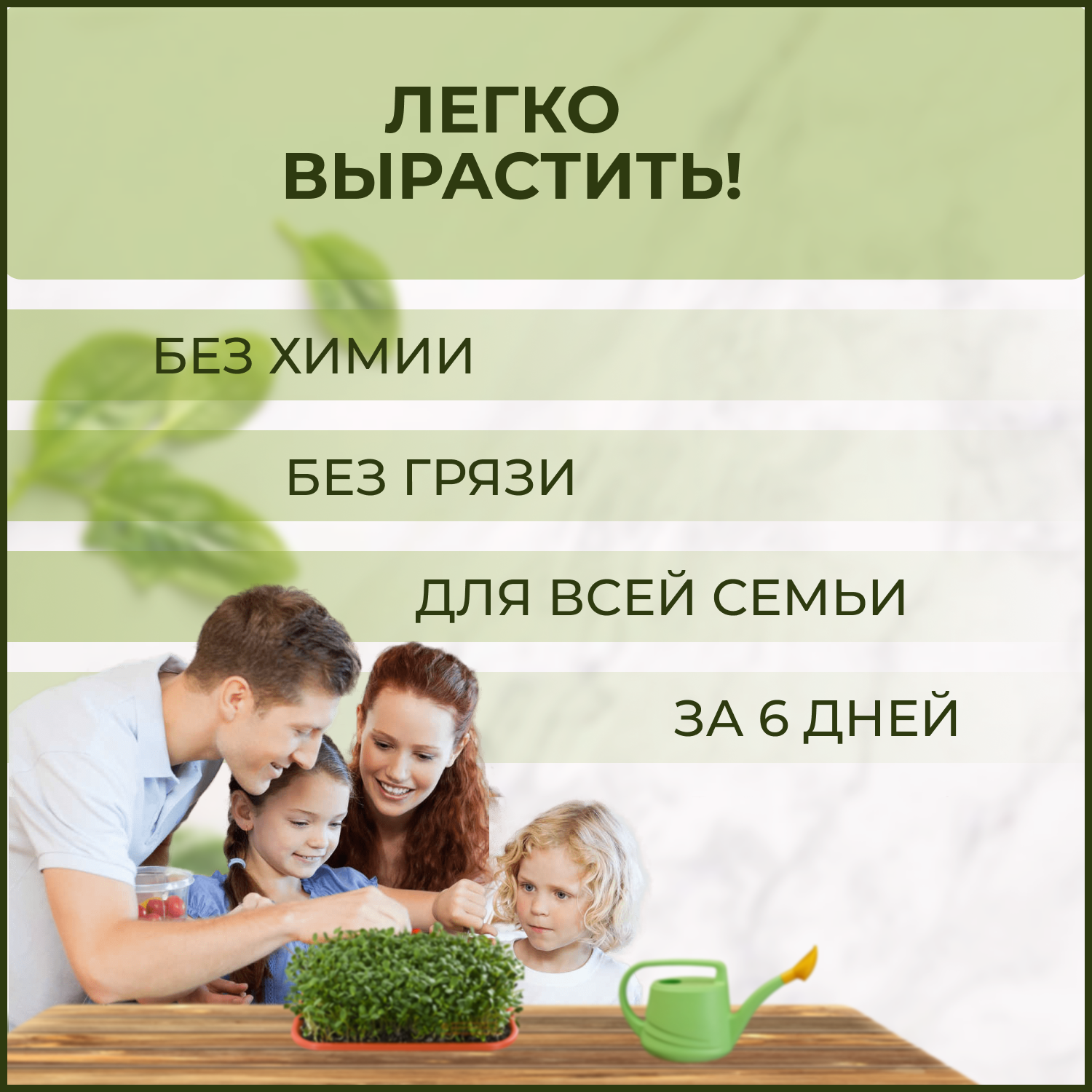 Набор для выращивания mGreens - фото 6
