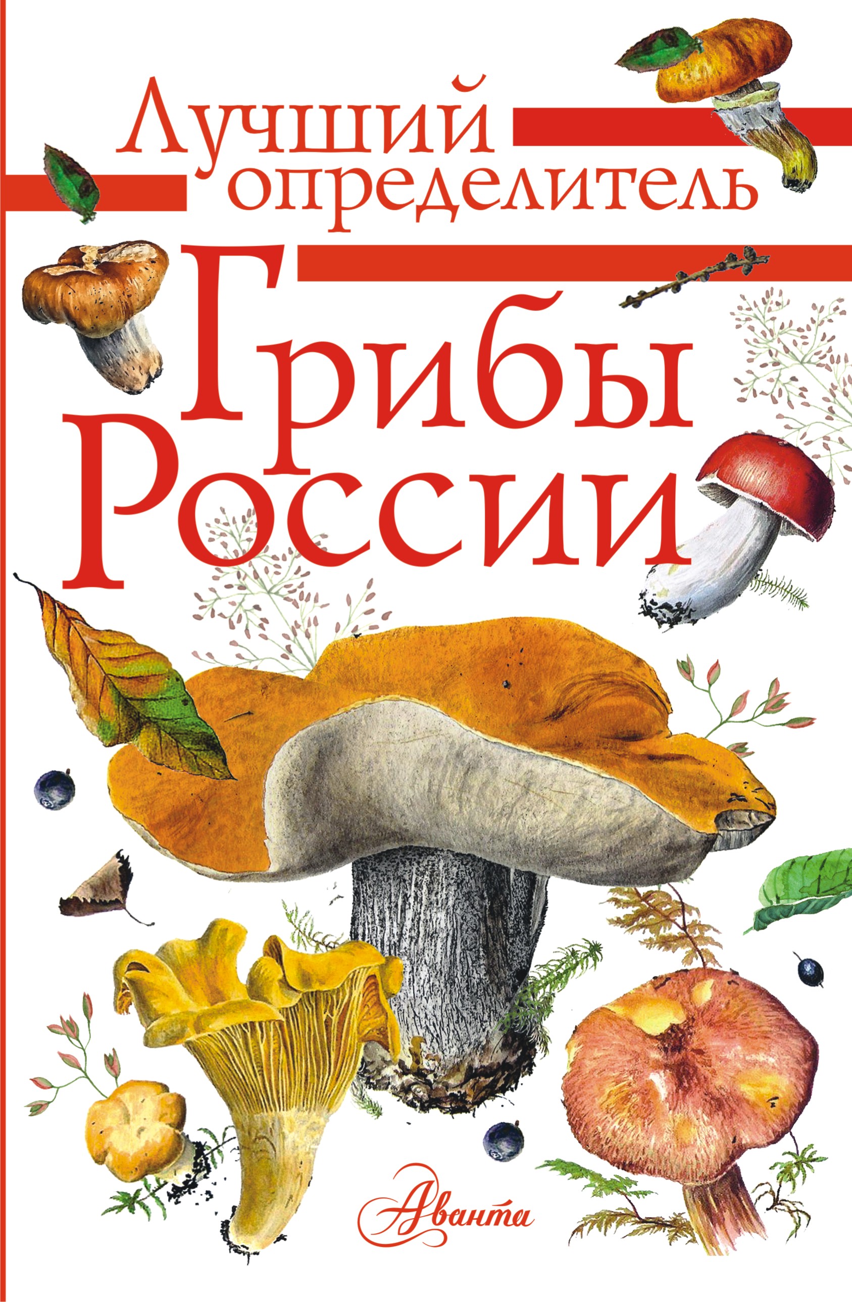 Книга АСТ Грибы России. Определитель - фото 1