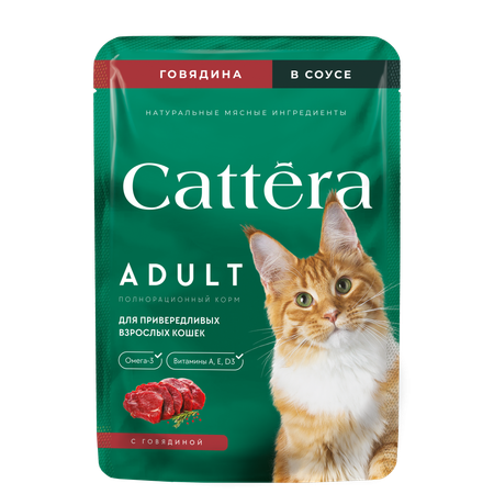 Корм влажный Cattera консервированный полнорационный с говядиной в соусе для взрослых кошек