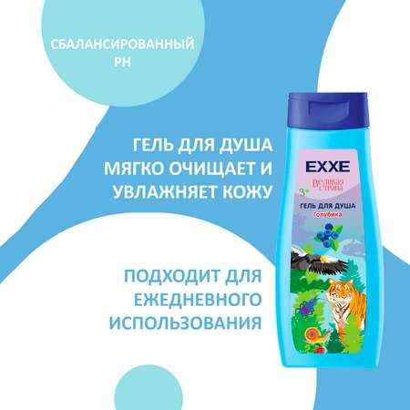Набор средств EXXE Голубика