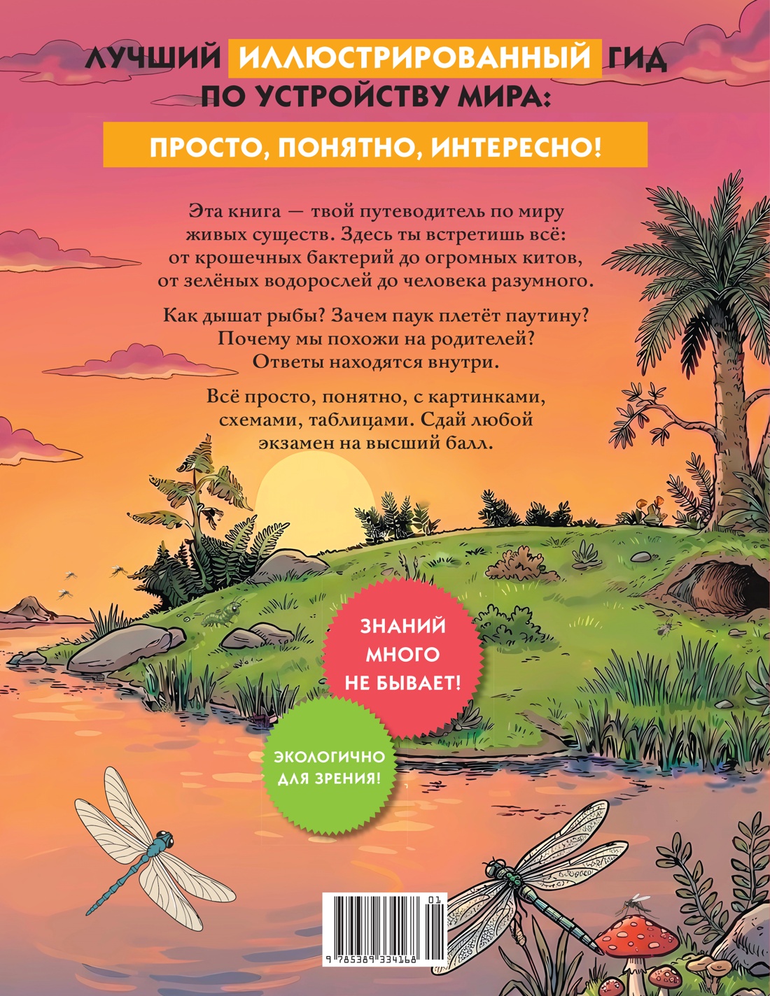 Книга КОЛИБРИ Биология в таблицах и комиксах - фото 2