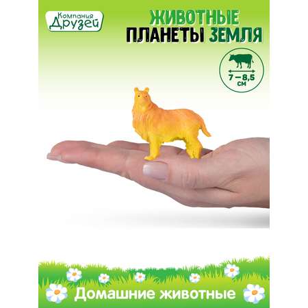 Игровой набор DARWIN Домашние животные 3шт