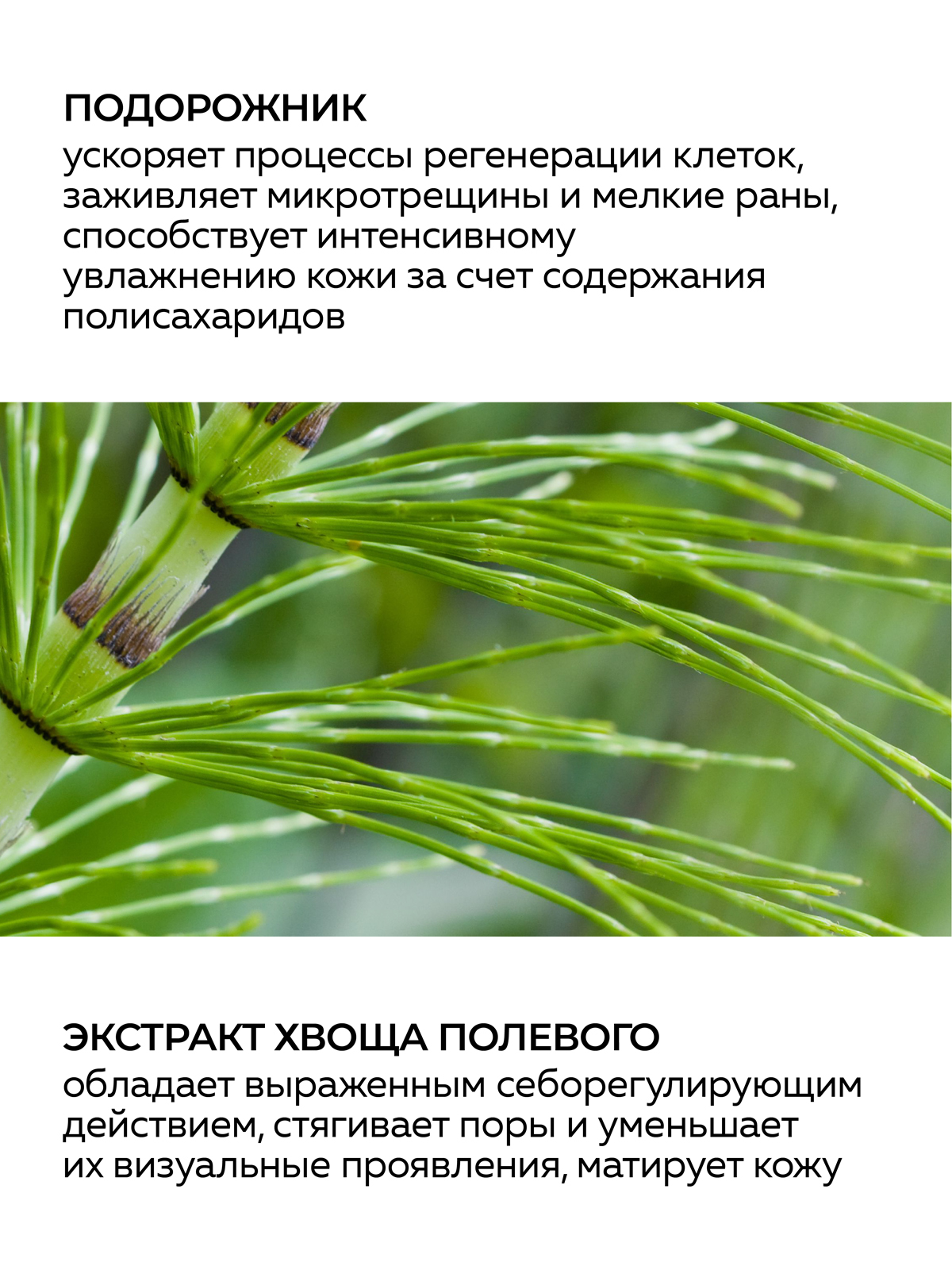 Маска Green Mama для лица очищающая сужение пор 170 мл 1 шт. - фото 3