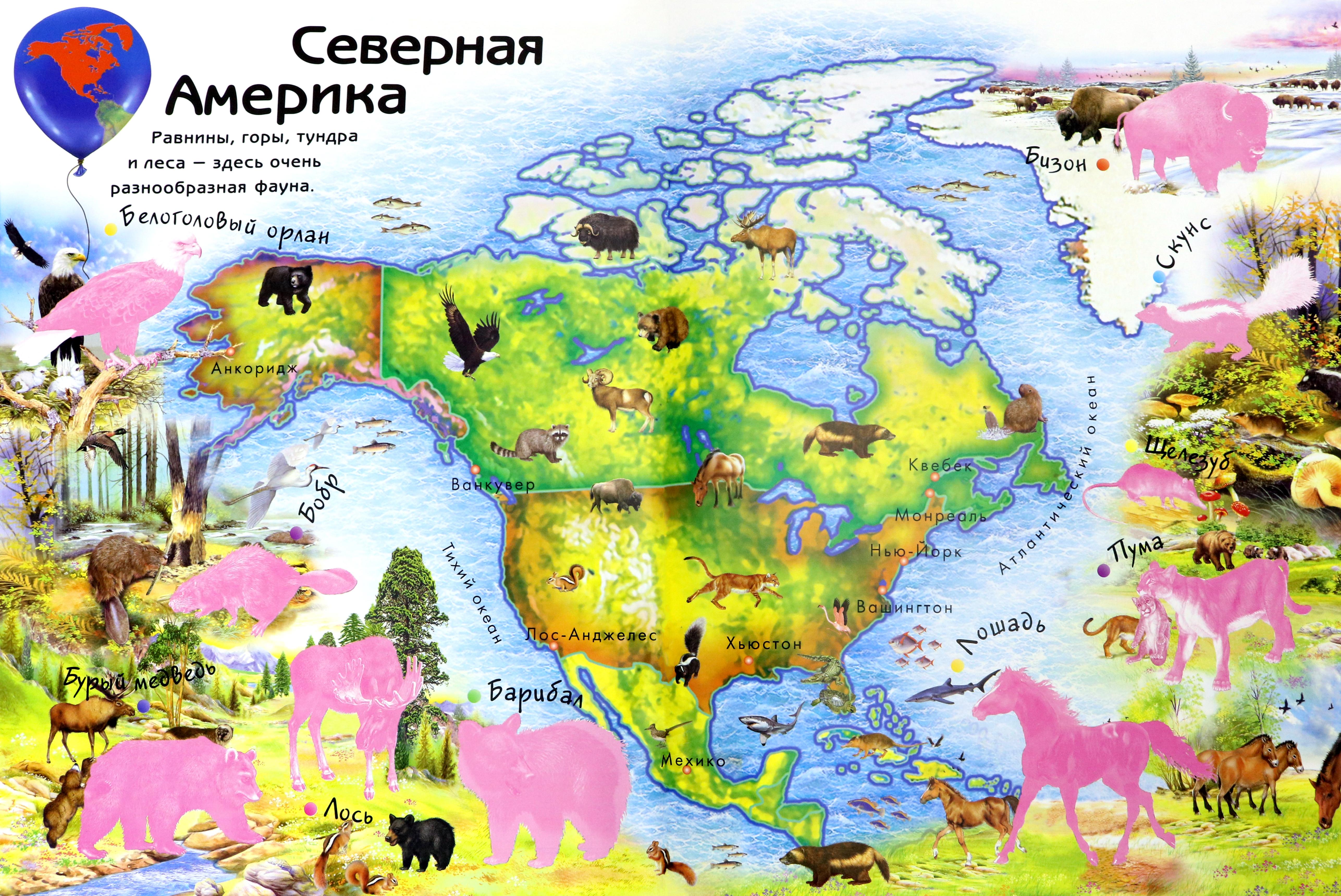 Книга Лабиринт Мой большой атлас животных 80 многоразовых наклеек - фото 2