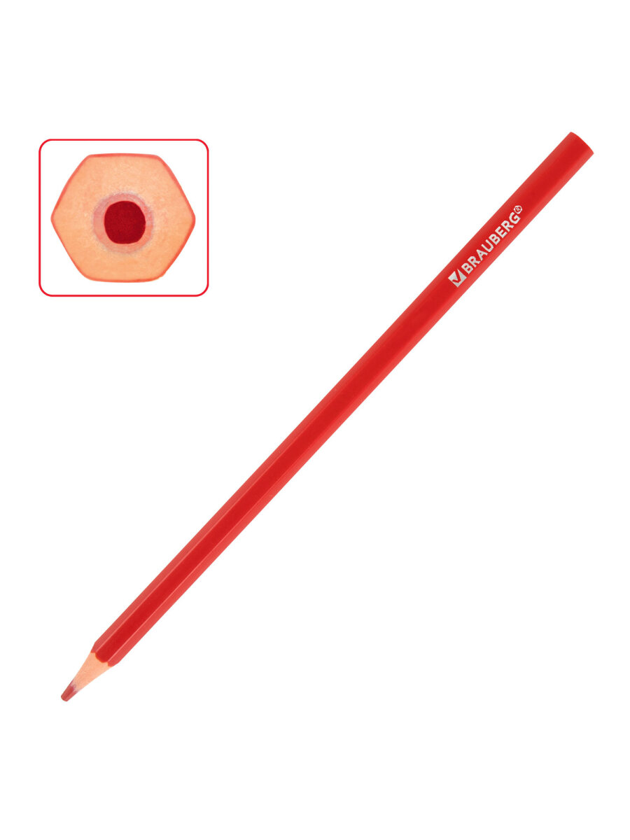Карандаши цветные Brauberg 48 шт. - фото 5
