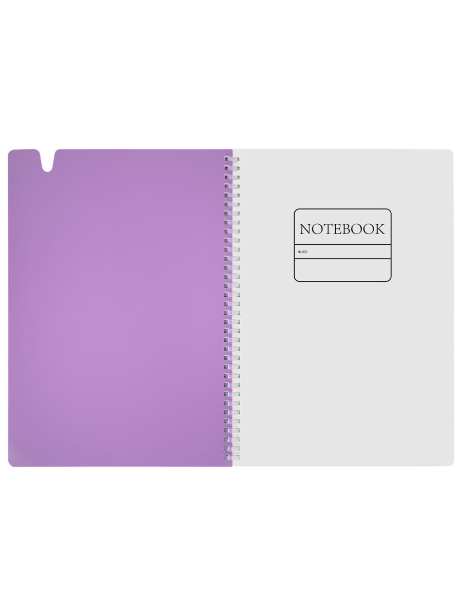 Общая тетрадь Brauberg клетка 80 лист. - фото 6