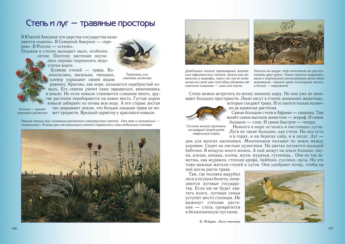 Книга Белый город Занимательная география - фото 8