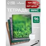 Тетрадь Calligrata клетка