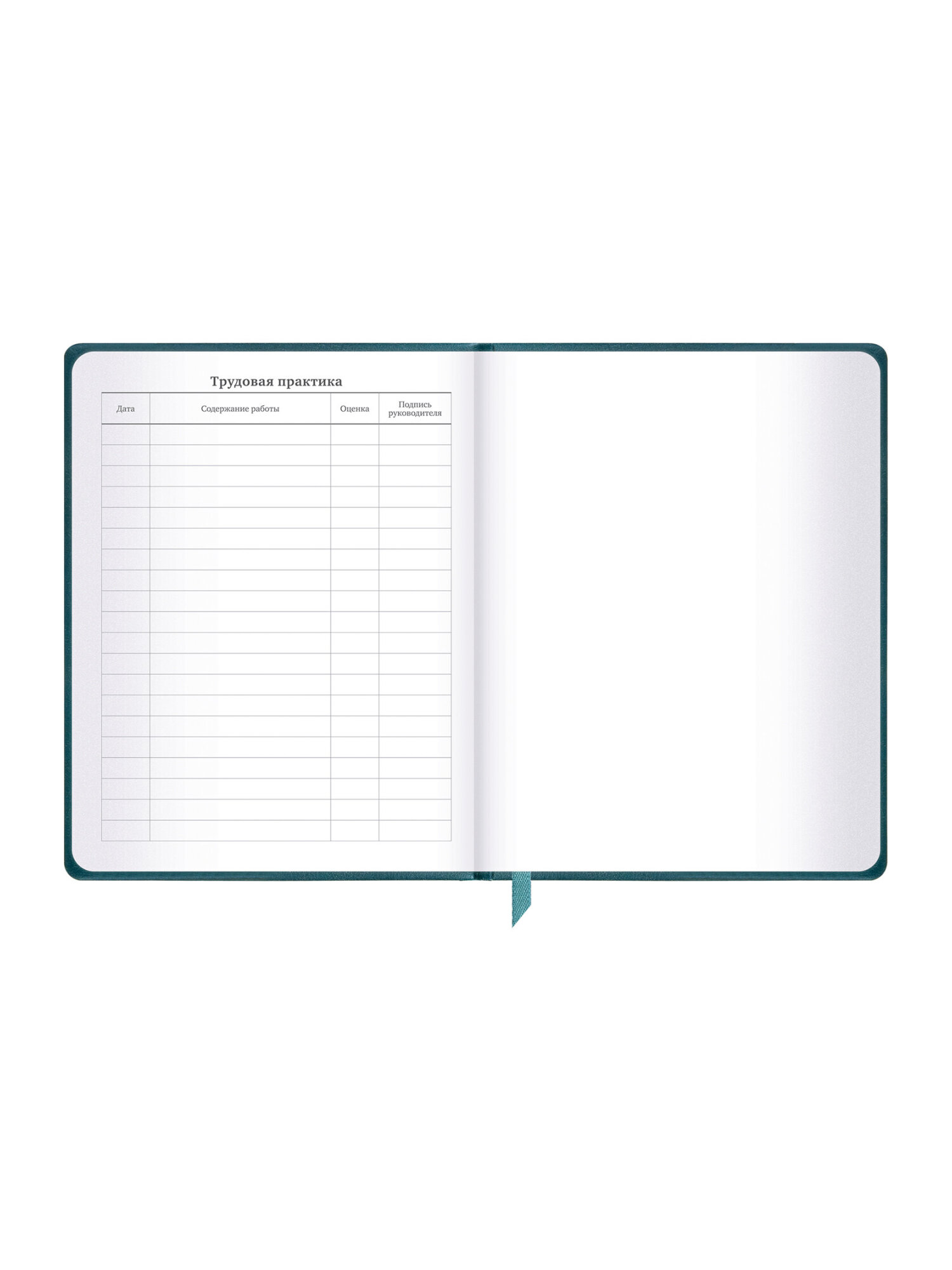 Дневник школьный Brauberg для 1-11 классов 48 листов - фото 26