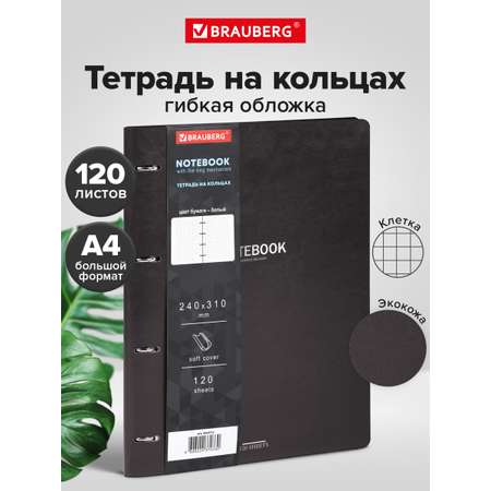 Тетрадь со сменным блоком Brauberg клетка 120 лист.