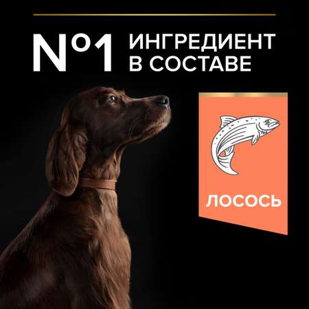 Корм для собак PRO PLAN крупных пород с атлетическим телосложением с чувствительной кожей с комплексом Optiderma лосось с рисом 14кг