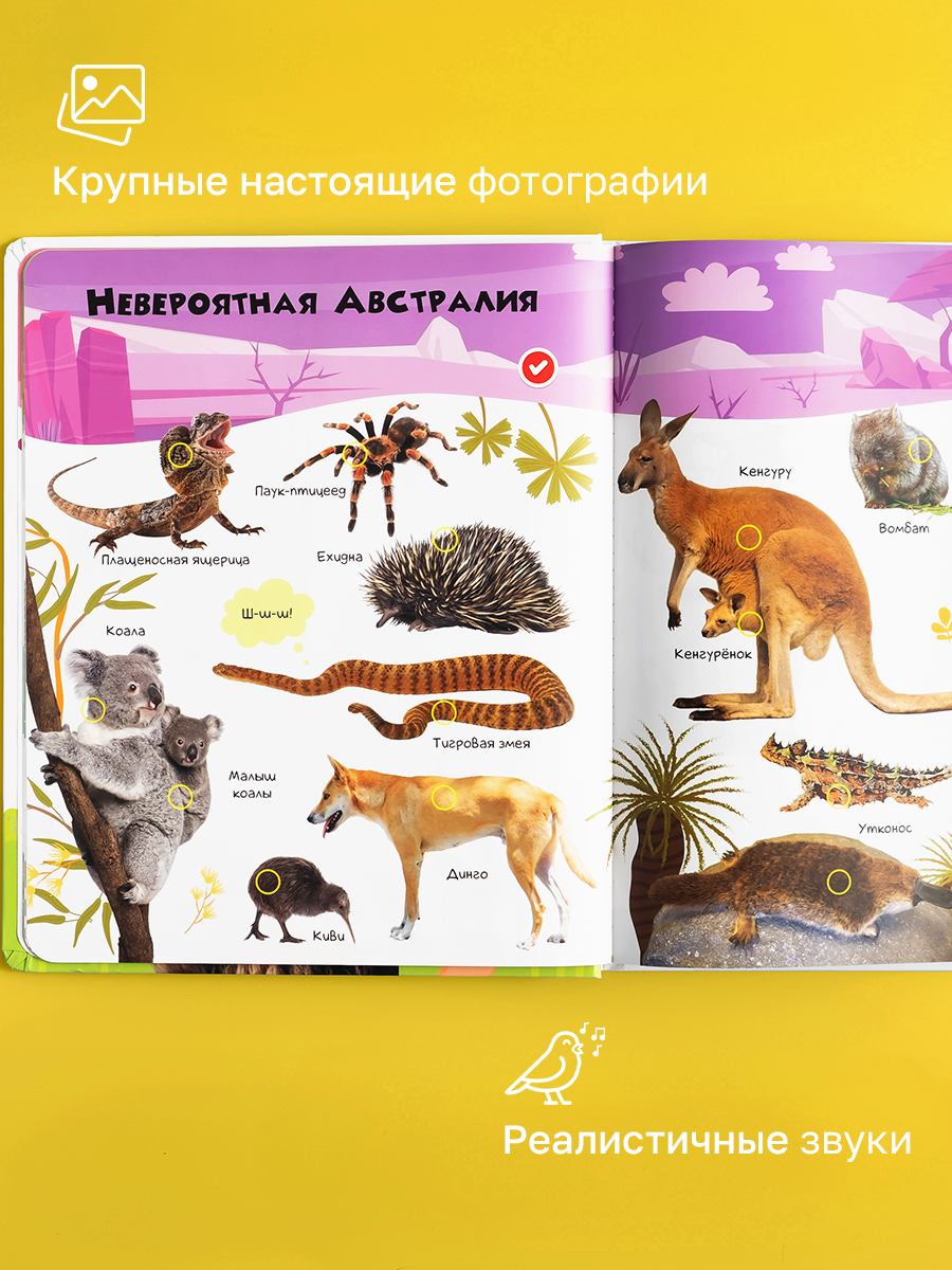 Говорящая книжка Нажималка BertToys Животные - фото 2
