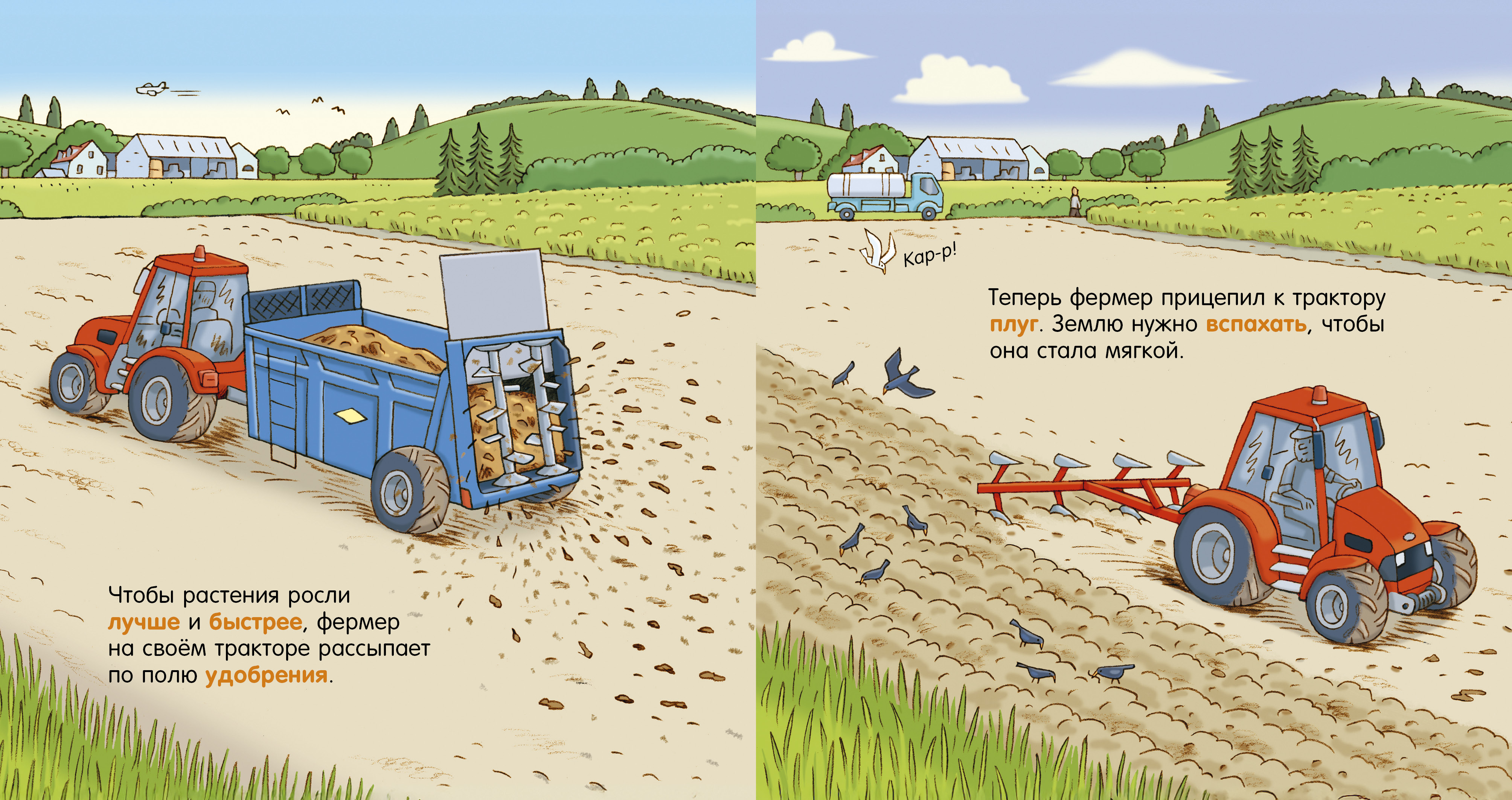 Как устроен мир? Clever Ферма - фото 6