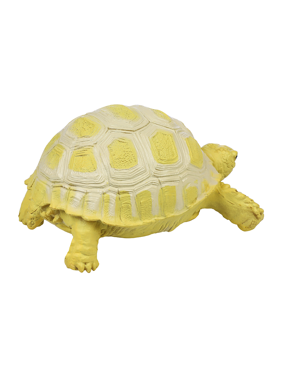 Игровой набор Masai Mara Египетская черепаха - фото 7