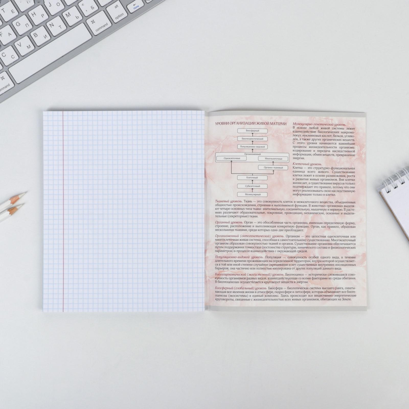 Тетрадь ArtFox STUDY - фото 3