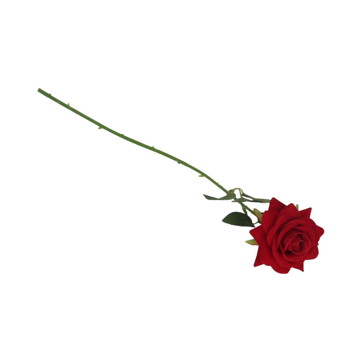 Цветок ё Роза в ассортименте - фото 1