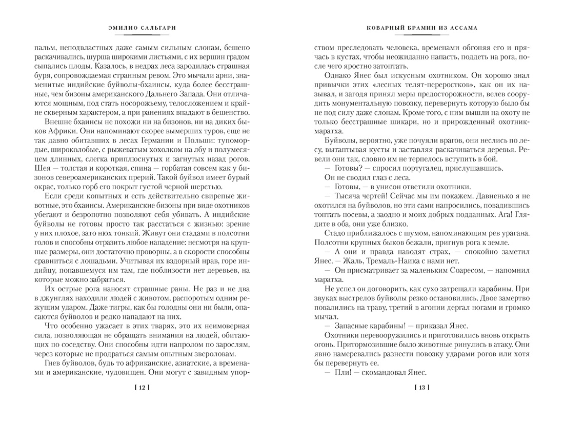 Книга АЗБУКА Коварный брамин из Ассама Гибель империи Реванш Янеса - фото 13