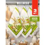 Полотенце Wellness Полли 38 x 63 см 3 шт.