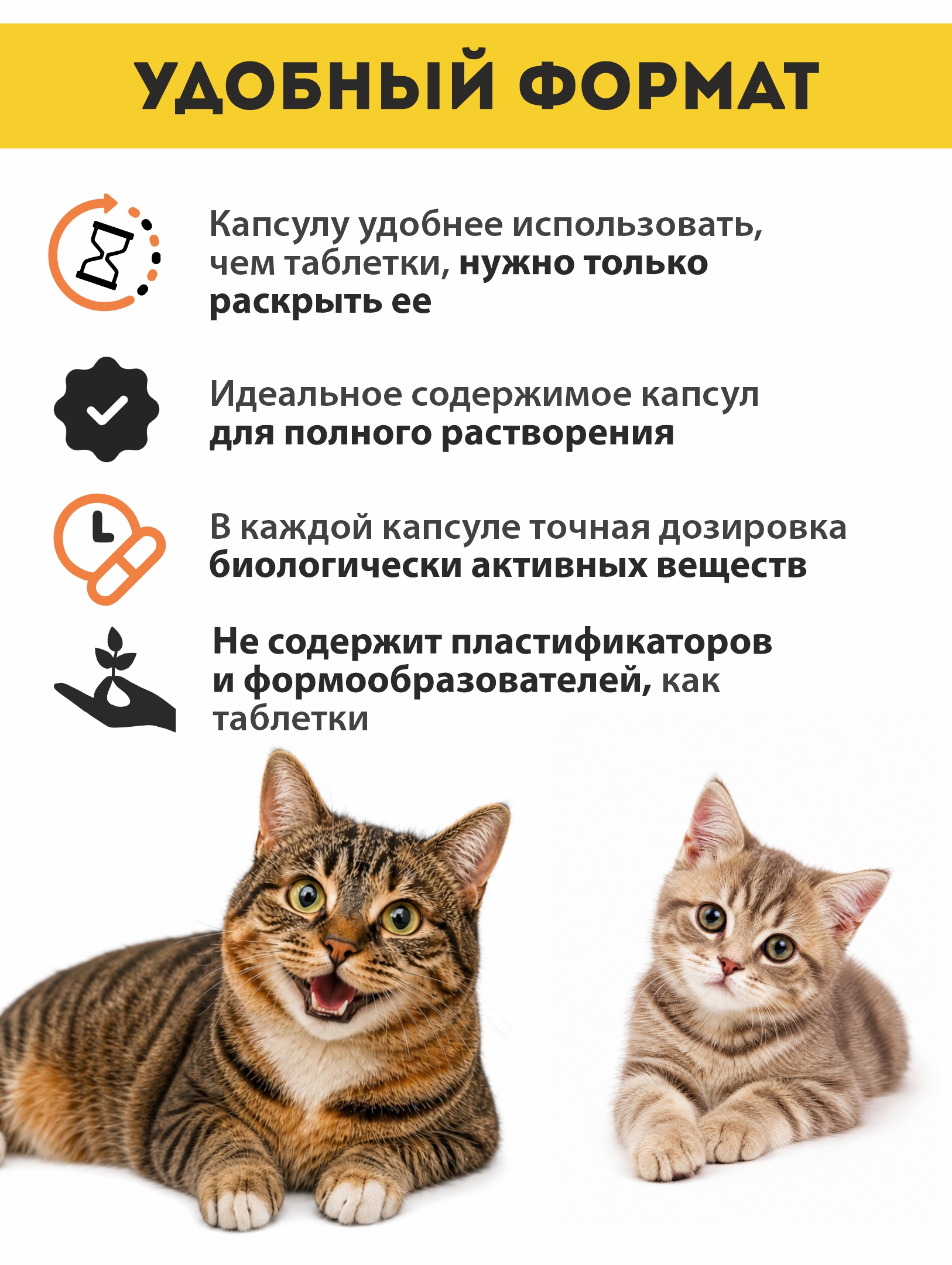 Витаминный комплекс ALTAI ANIMAL для кошек Блестящая шерсть - фото 4