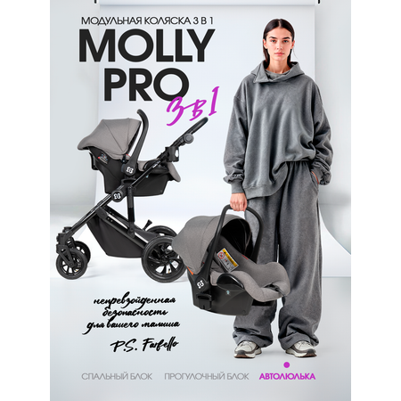 Коляска 3в1 Farfello Molly Pro серый
