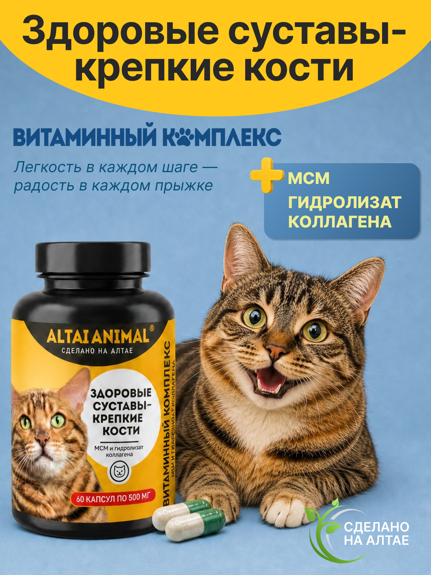 Витаминный комплекс ALTAI ANIMAL для кошек Здоровые суставы крепкие кости - фото 2