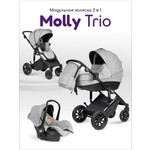Коляска 3в1 Farfello Molly Trio серый