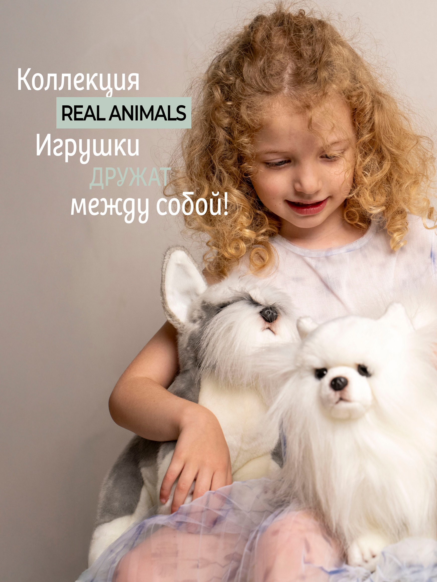 Мягкая игрушка GULLIVER toys собака Шнауцер 27см - фото 12