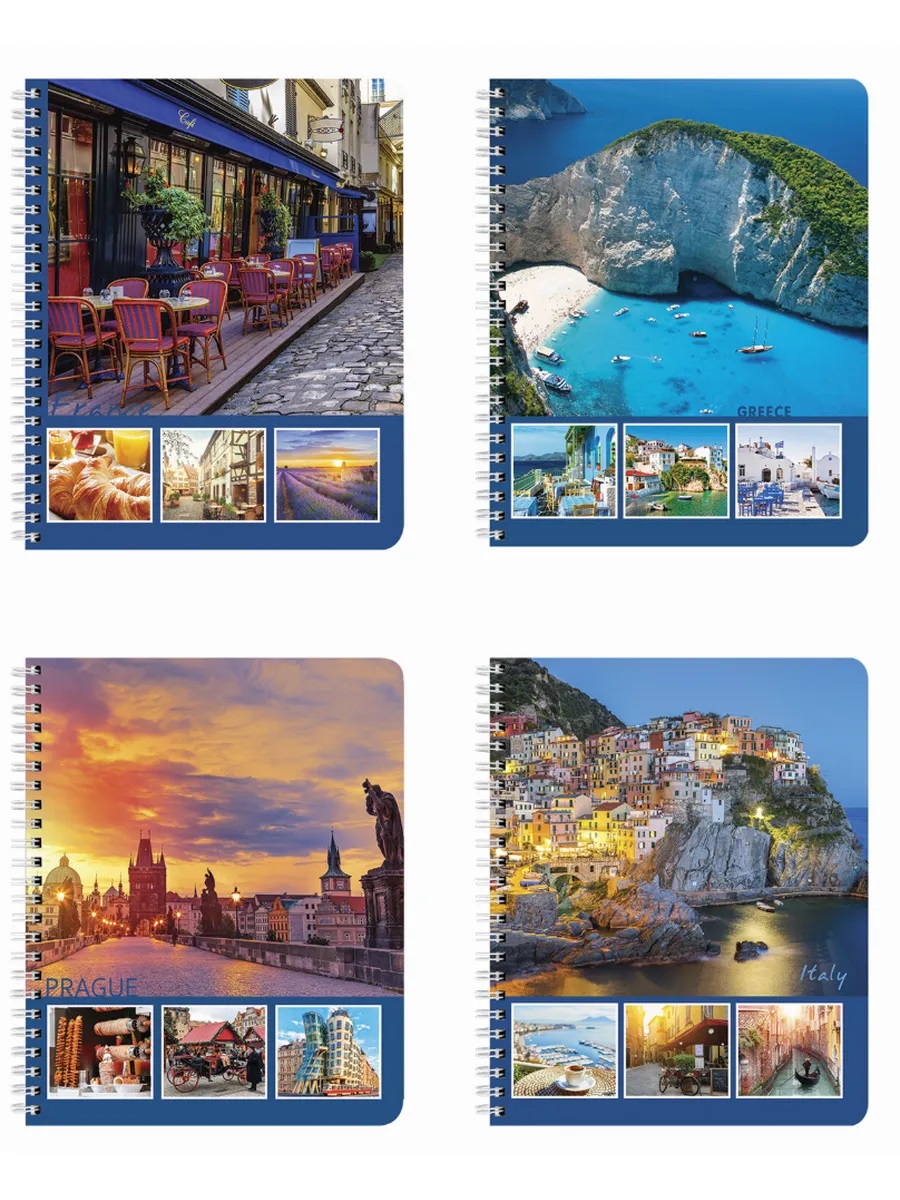 Тетрадь Brauberg клетка 96 лист. 4 шт. - фото 2