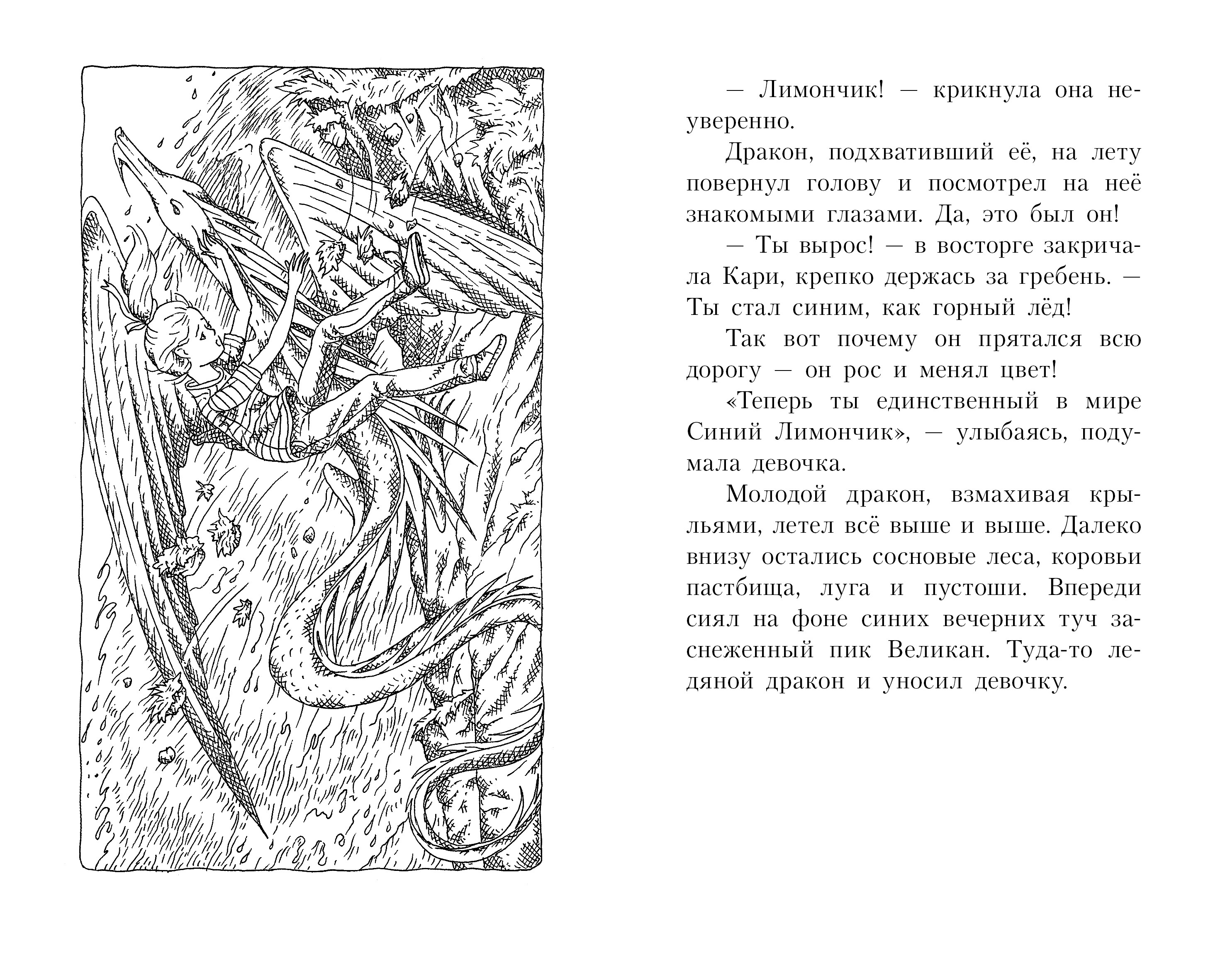 Книга Качели Кари и ледяной дракон - фото 10