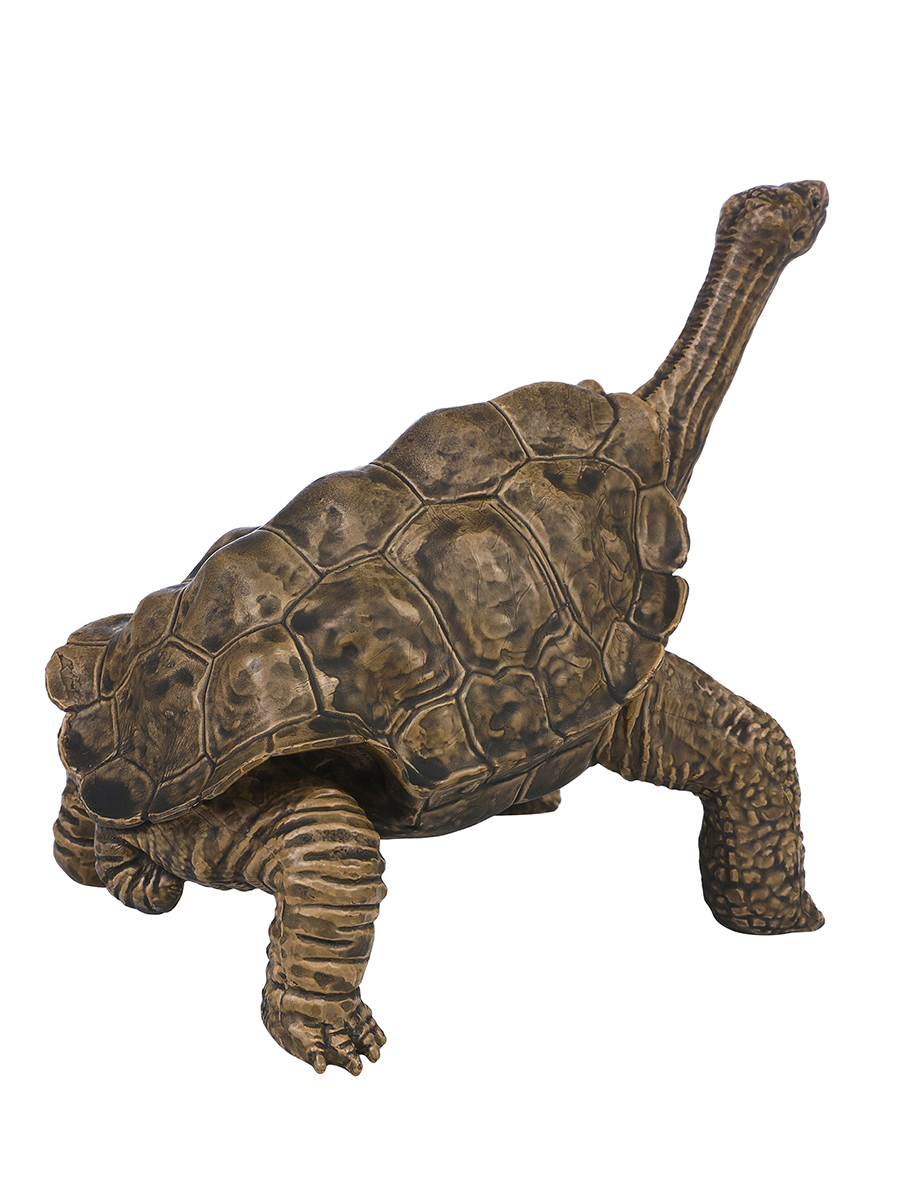 Игровой набор Masai Mara Черепаха - фото 5