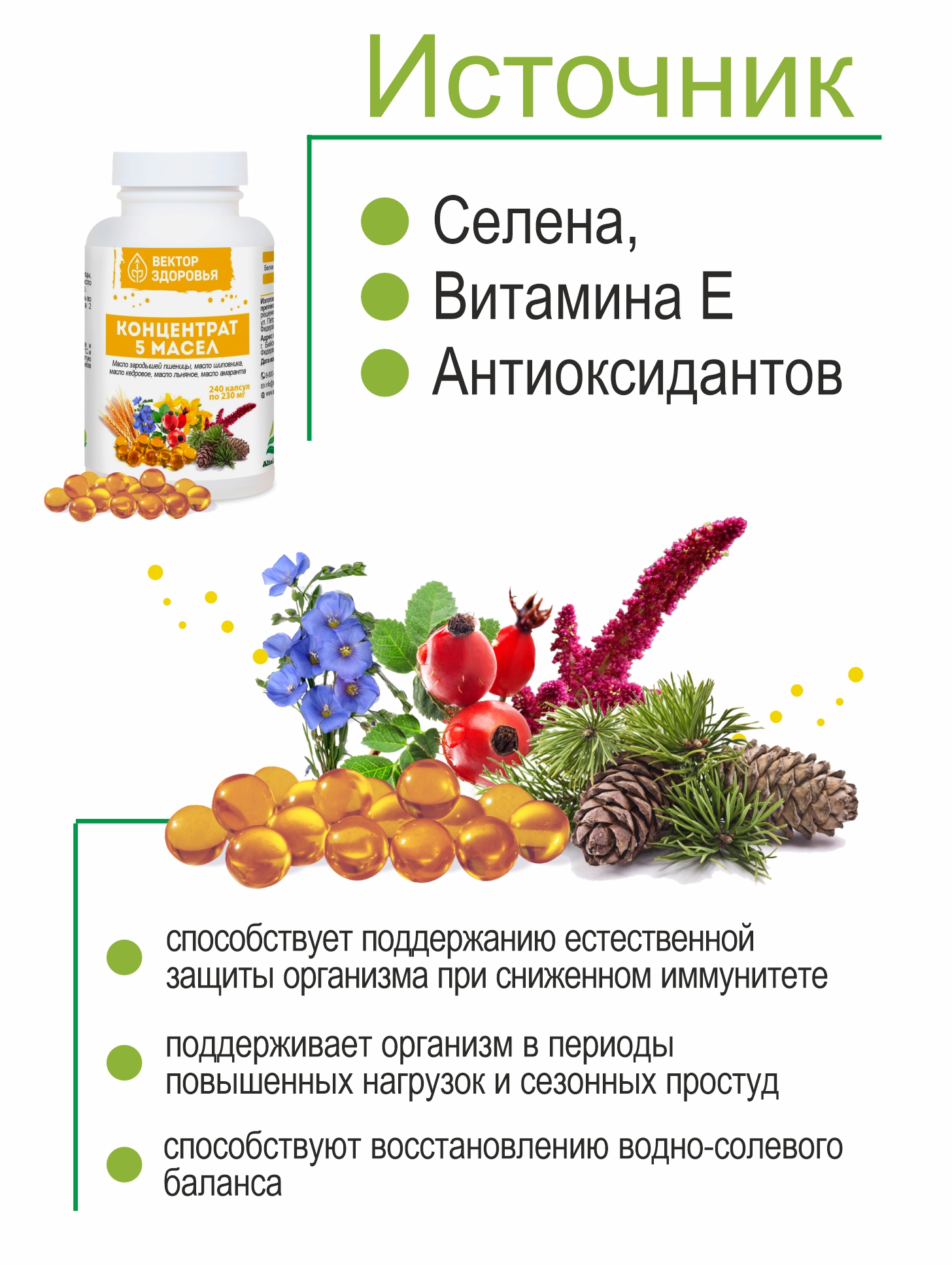 Комплекс масел Алтайские традиции Стойкий иммунитет 240 капсул - фото 3