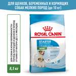 Корм для щенков ROYAL CANIN Starter мелких пород 8.5кг