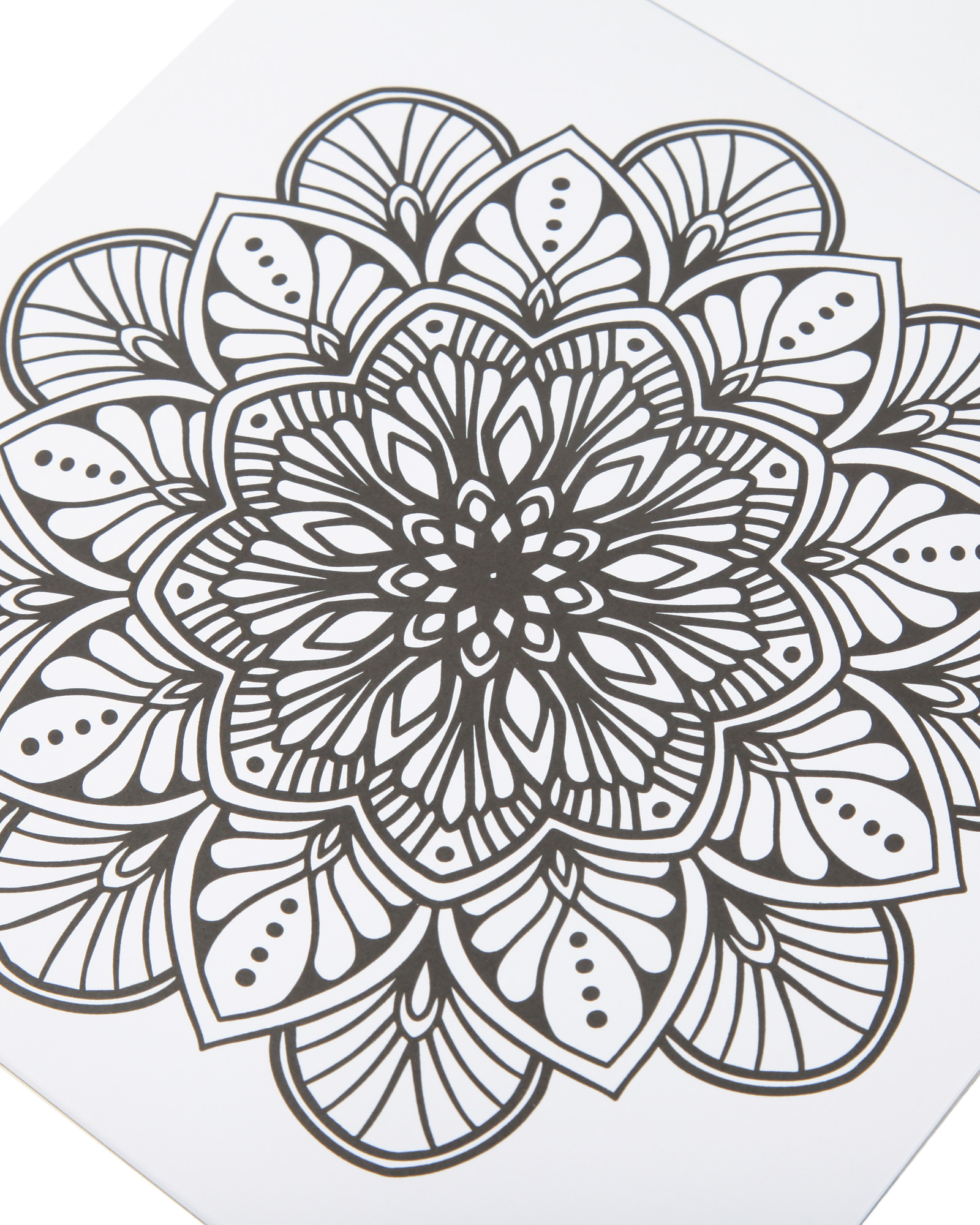 Раскраска Attivio Цветы антистресс 24 листа - фото 4