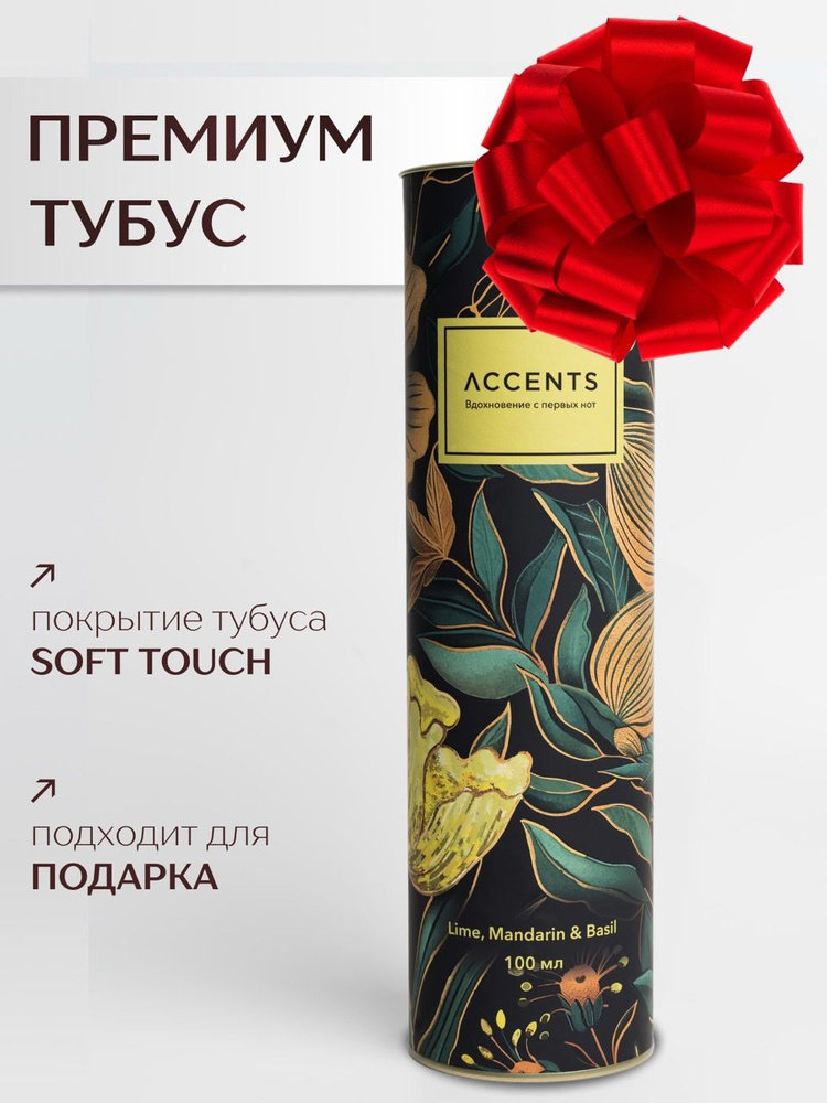 Диффузор с сухоцветами в Премиум тубусе Accents Lime, Mandarin & Basil - фото 4