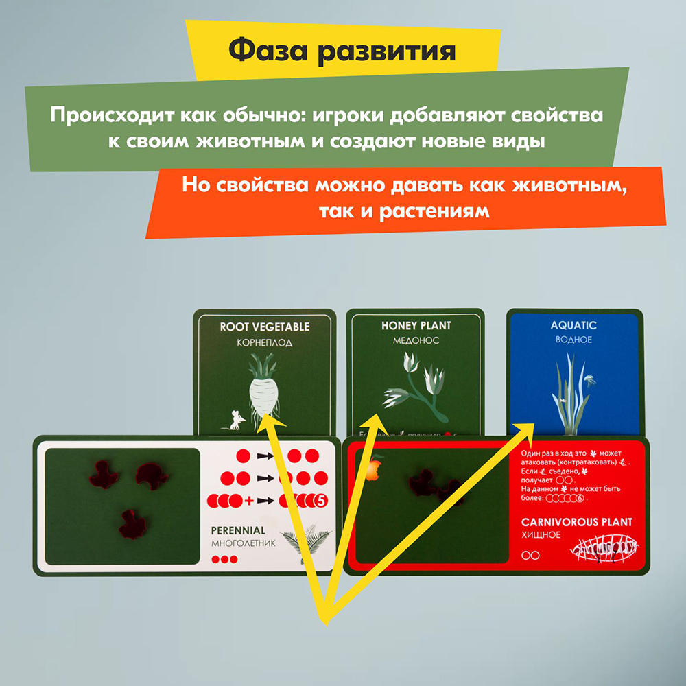 Настольная игра Правильные Игры Эволюция Растения - фото 8
